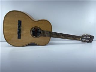 Giannini Classical Nylon Guitar AWN25A